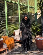 siyah naturel rex chincihilla transformers mont 2